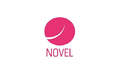 Novel